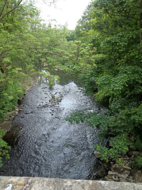 The River Aln