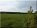 Farmland, South Broomford