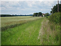 Wheatfield at Naccott