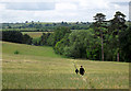 SO7992 : Farm land near Claverley, Shropshire by Roger  D Kidd