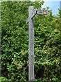 Signpost for cycle trails north of Hangleton