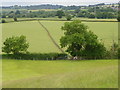 Footpath, Thornford