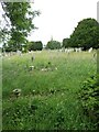 Ryde Cemetery (74)