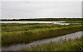 TQ7286 : Vange Marshes Nature Reserve by Martin Addison