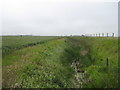 TQ9620 : Drainage ditch in East Guldeford Levels by David Anstiss