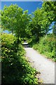 Path Through Queens Park