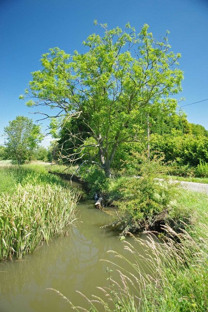 River Wid near Elmbrook Farm