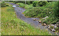 The Killinchy Road near Comber (2)