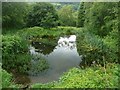 Pond off Scout Bottom Lane, Mytholmroyd