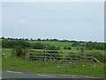 NZ7908 : Field entrance off the A171 by JThomas