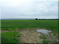 Footpath over fields