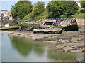 Rotting hulls at low tide