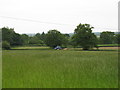 Farmland east of Luckington