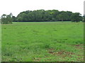 Farmland south of Easton Grey