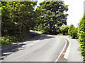 Lartington Lane, Barnard Castle