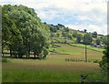 Pie Gill Green from Wath Bridge