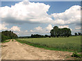 Farm track south of Uggeshall