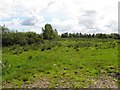 Derryhubbert Townland