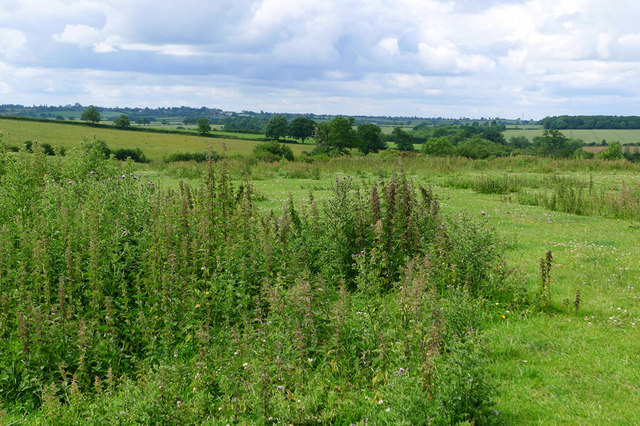 Open fields around Upper Weald, Calverton