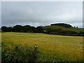 Bank Farm, with Broom Hill beyond