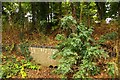 Culvert under Grove Park Drive