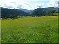 NY3705 : Meadow above Ambleside by Michael Graham