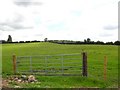 Gate, Derrycoose