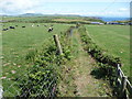 Footpath near Tir Glyn Farm