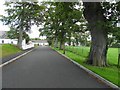 Tree-lined avenue, Tartaraghan Parish Church