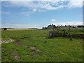 On a path to Quarry Cottage and Redbarns