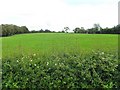 Ballynarry Townland