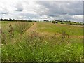 Derrylard Townland