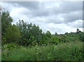 Course of disused railway near Bucknall, Stoke-on-Trent