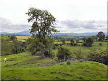 NY7914 : View from Brough Castle by David Dixon