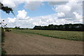 Fields near Cottenden