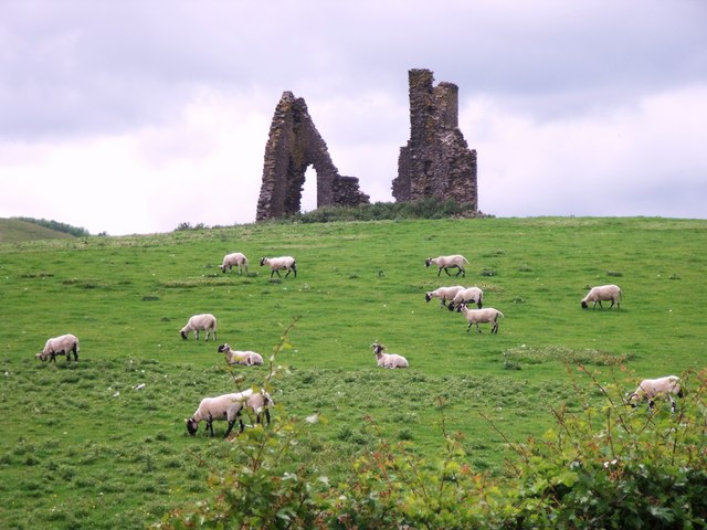 Horsburgh Castle ruin with sheep pasture