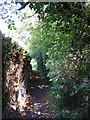 TM3864 : Footpath to Rosemary Lane by Geographer