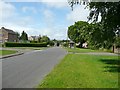 Bus shelter and verge, Steeple Aston