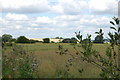 Land off Appledore road