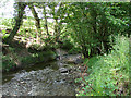 Stream near Glynhafren