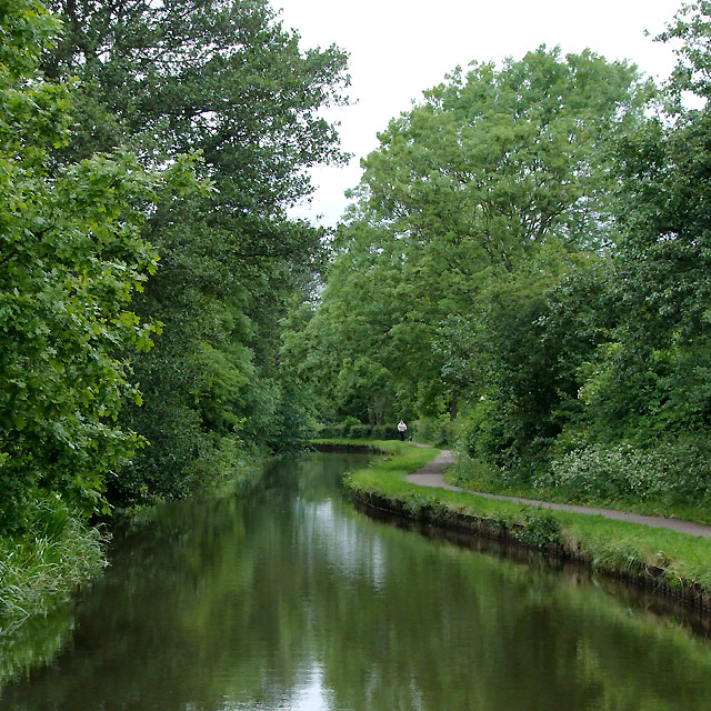 Caldon Canal south of Milton, Stoke-on-Trent