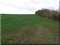 Field next to Fosse Way