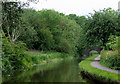 Caldon Canal south of Milton, Stoke-on-Trent