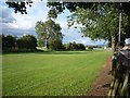 Looking into the racecourse