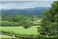 Farmland near Crewgreen