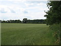 Farmland north of Easton Grey