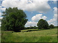 Fields and footpath in Creigiau