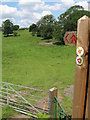 Fields and footpaths, Pentyrch