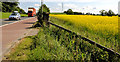 Rape field near Hillsborough (4)