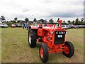 171st Omagh Annual Show (1)